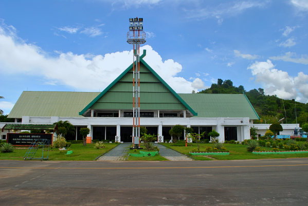 bima-airport-rpa